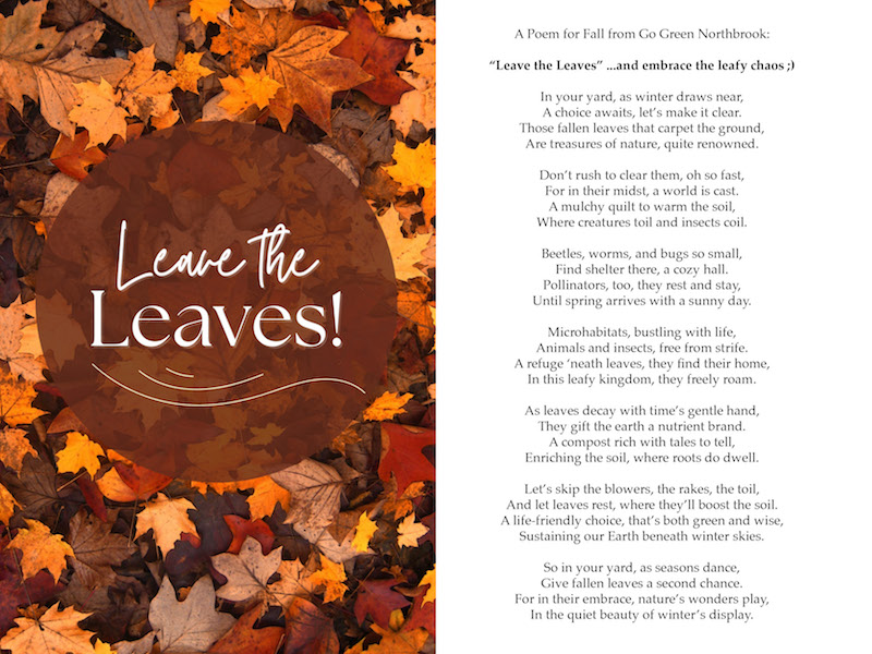Leave the Leaves that Fall this Fall
