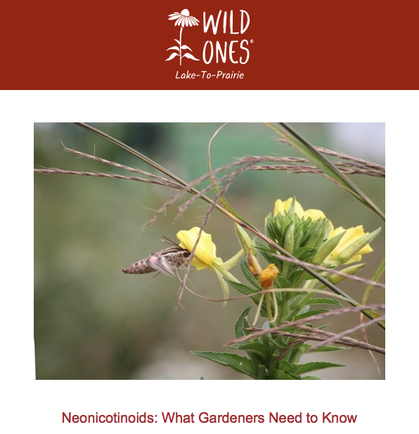 “Neonicotinoids: What Gardeners Need to Know” – July 1 – 7-8pm CT