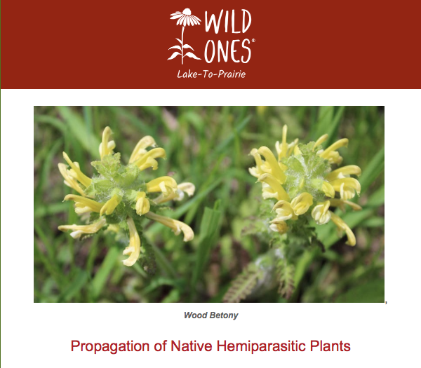 Wild Ones header with topic Propagation of Native Hemiparasitic Plants