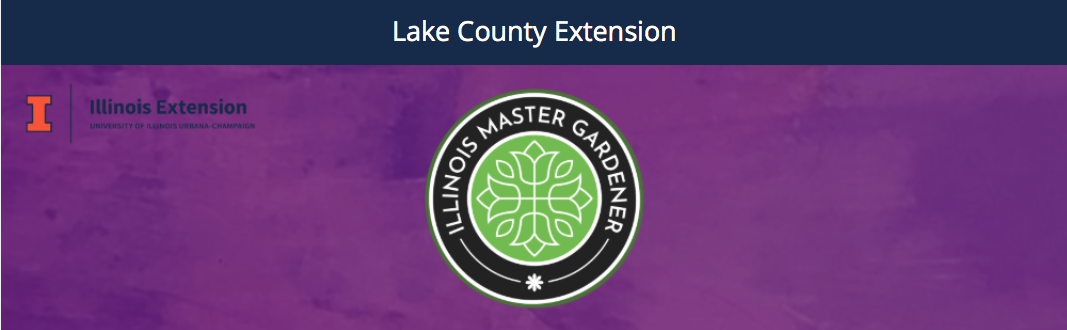 “Go Wild for Bats” 