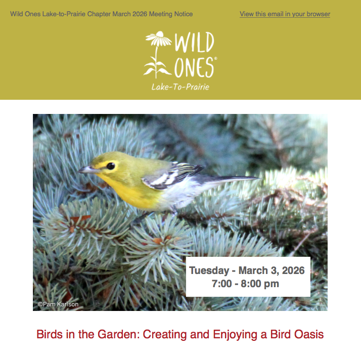 “Birds in the Garden: Creating and Enjoying a Bird Oasis”