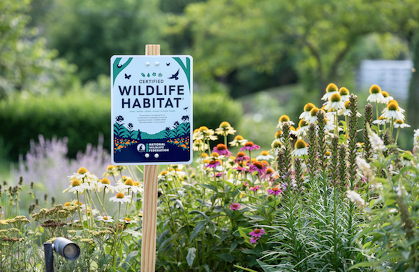 May is Garden for Wildlife Month
