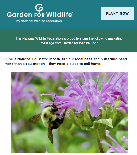 June is National Pollinator Month