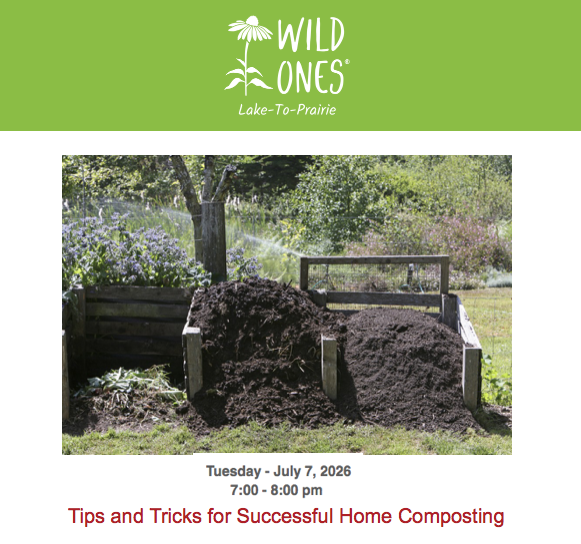 Tips and Tricks for Successful Home Composting